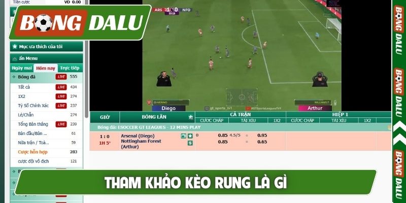 Tham khảo kèo rung là gì
